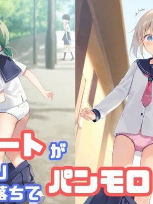スカートがいきなり落ちてパンモロ【でのいず】