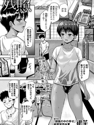残照【銀茶】
